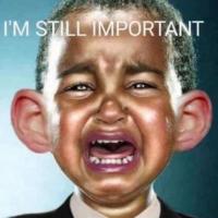 John Q Anon