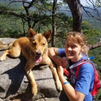 Lindsey Shock
