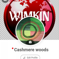 Cashmere woods