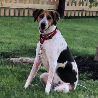 Tiffany Nincehelser-Morse