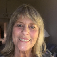 Ginny Harvey