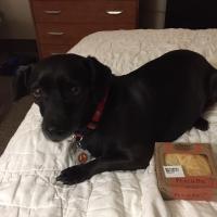 Cathy Duhon