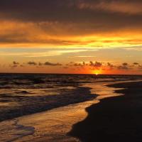 Kristi