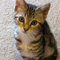 Jonkim D