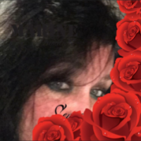 Lori Ilardi