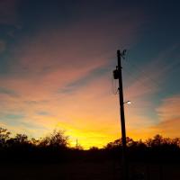 Amanda Parsley-Daigrepont