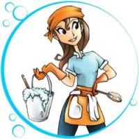 Go To Gal Cleaning