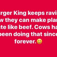Kristi Baker