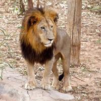 Pamela Fry