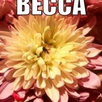 Rebecca keyton