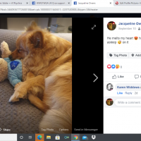 Jacqueline Frances Owens