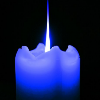 Maureen Shea Timerman