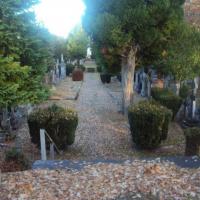Paul campbell