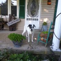 Melissa Mattingly