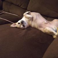 Michele Chacon