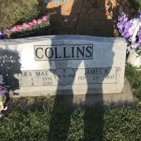 Ivy Collins