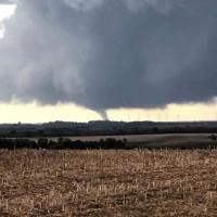 Patricia A Hollinger