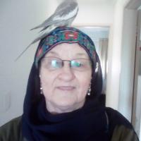 Huda Colleen