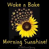christina irwin