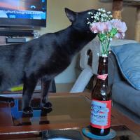 Carlos Garcia