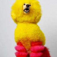 Teresa Patterson
