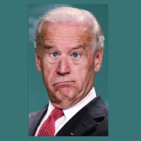 No Joe 2020