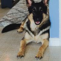 Byron Frescatore