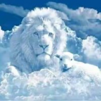 jean vandal