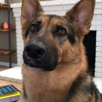 Tyson