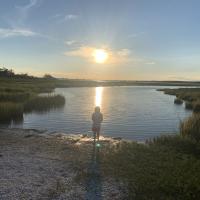Ron Young
