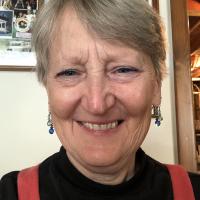 Gail A Hoffman