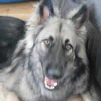 Vida Darlene Phillips