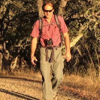 Glen Archer