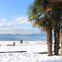 Chris Tina