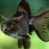 Delynda Miller