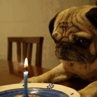 Gary Eberhardt