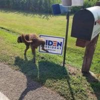 Sherry Johnson