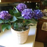 Margaret Christopher