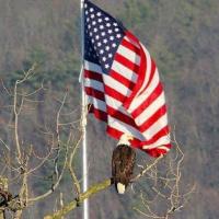 Aaron Steinlage