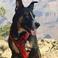 Jo Kowal Takacs