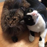 Mary Sapack