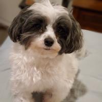 Bobbie Orloff