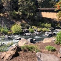 Tracy Priest