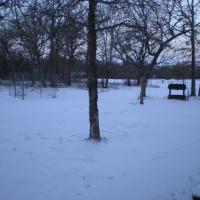 Bob Hubbard