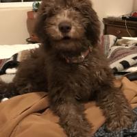 Glenda Spencer