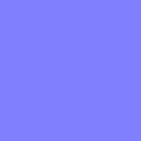 lesley welch