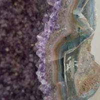 Dom Corbin