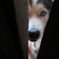 Christina