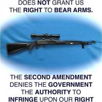 Alabama Second Amendment