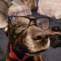 Anthony Auriemma